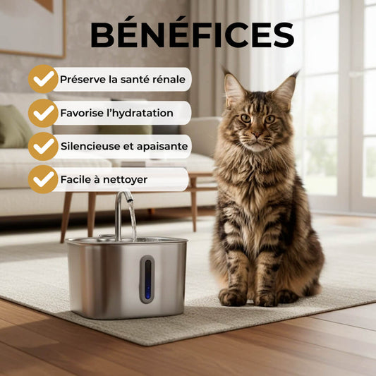 NekkoPure™ - 2.2L Fontaine à eau pour Chat