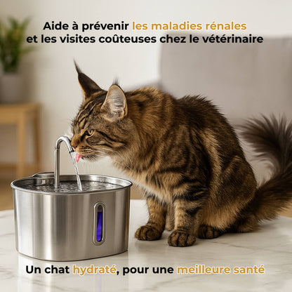 NekkoPure™ - Fontaine à eau pour Chat
